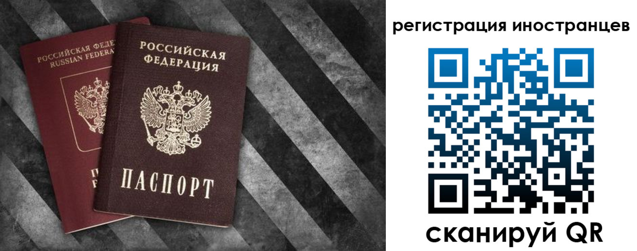 прописка для школы в Шебекино